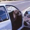 un clandestino in auto SUD AFRICA 