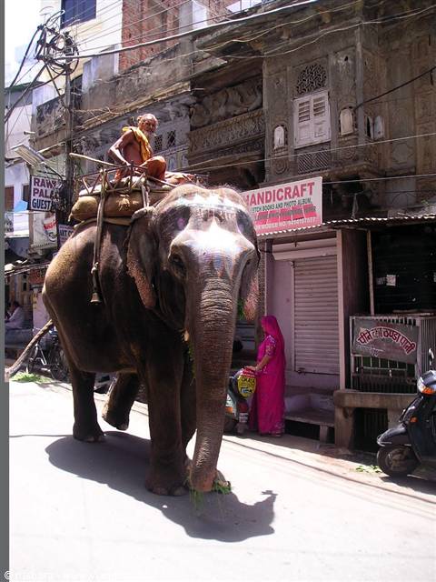 strani incontri per le strade di Udaipur