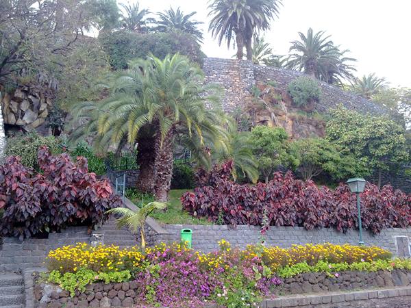 madeira