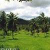 paesaggio dell'entroterra REPUBBLICA DOMINICANA 