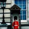 guardia reale a Buckingham Palace - Londra REGNO UNITO 