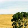  SUD AFRICA 