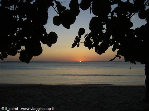 Cuba Playa Costa erde