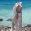 Rangiroa POLINESIA FRANCESE 