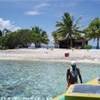 Rangiroa Isolotto POLINESIA FRANCESE 