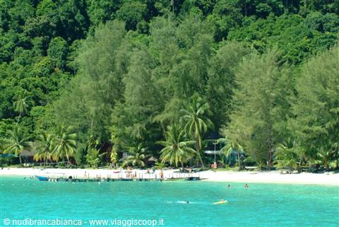 Malaysia: Perhentian, Kuala Lumpur