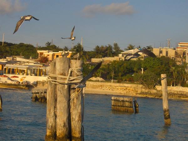 Parco del Garrafon - Isla de las mujeres