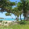  SAINT VINCENT AND THE GRENADINES 