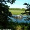 River Avon at Fladbury REGNO UNITO 