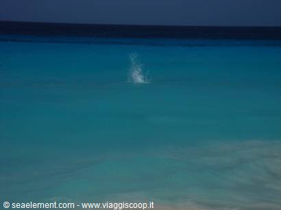 BONAIRE paradiso nascosto di natura e sport