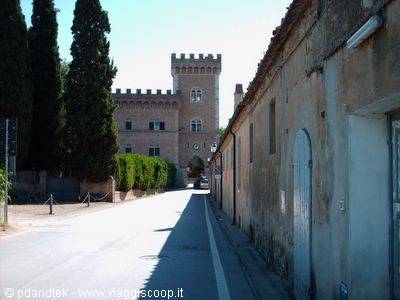 Bolgheri
