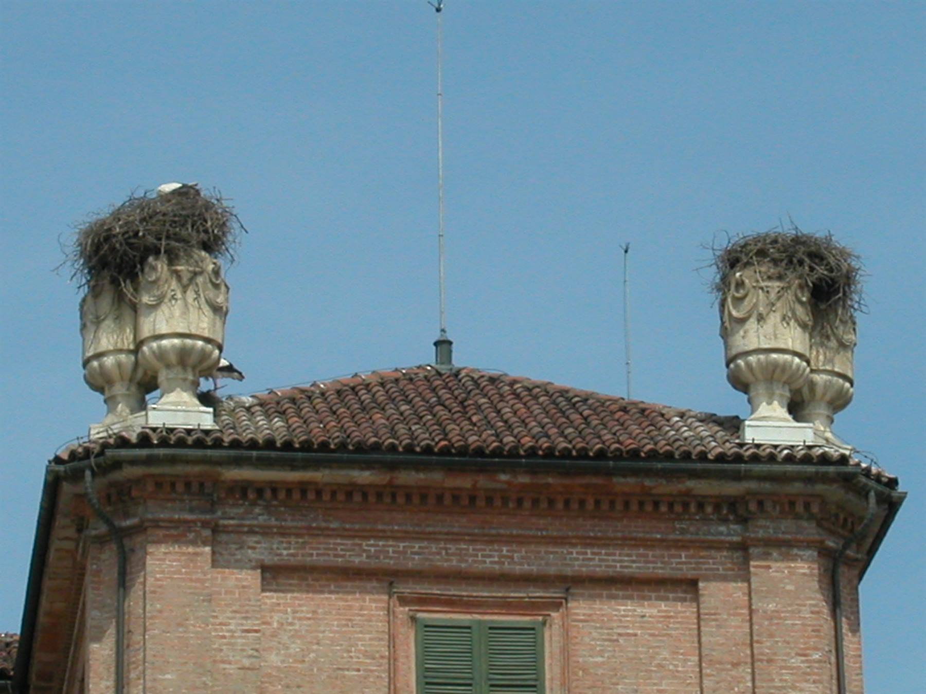 Foto di viaggio in ITALIA