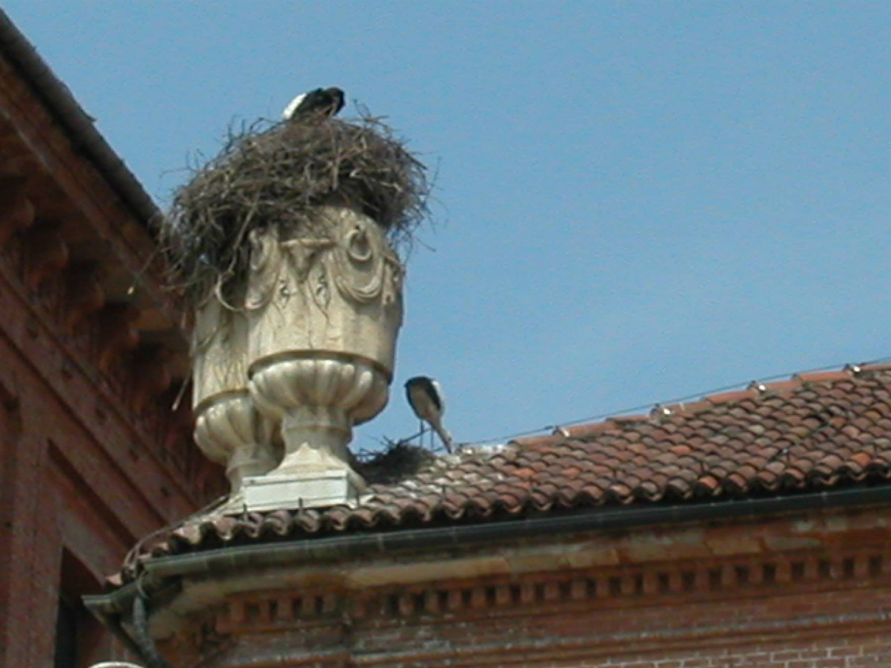 Foto di viaggio in ITALIA