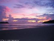 Tramondo Playa Espadilla, Manuel Antonio