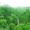 Catarata del Rio Fortuna, Arenal Volcán COSTA RICA 