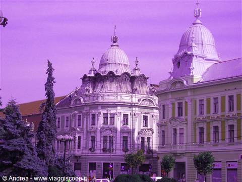 Cluj Napoca
