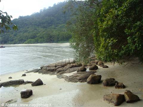 Penang, National Park