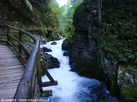 SLOVENIA: UNIVERSO VERDE