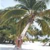 Le palme .... REPUBBLICA DOMINICANA 