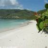 Virgin Gorda - Savannah Bay ISOLE VERGINI (BRITISH) 