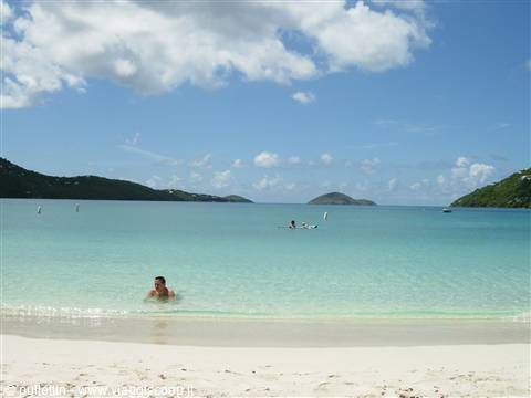 USVI o BVI ... questo e' il problema !