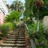 99 steps ! ISOLE VERGINI (U.S.A.) 