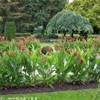 splendido giardino REPUBBLICA CECA 