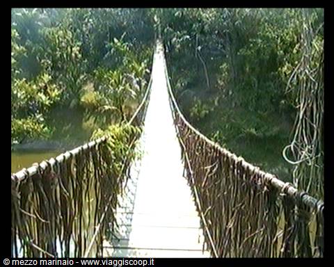 ponte