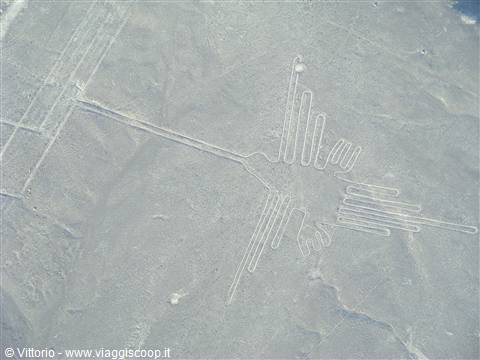 linee Nasca: il Colibrì