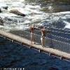 2.6 - Tsitsikamma National Park - Suspension Bridge SUD AFRICA 