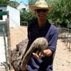 3.3 Oudtshoorn - CangoOstrichFarm (Struzzo) SUD AFRICA 