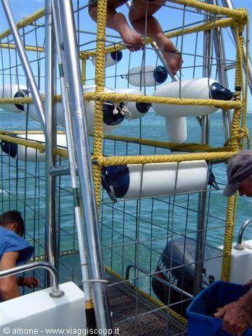5.2 - Gansbaai - Dyer Island