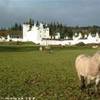 3.4 - Blair Castle.JPG REGNO UNITO 