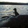 4.4 - Loch Ness.JPG REGNO UNITO 
