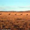 4.20 - Highlands.JPG REGNO UNITO 