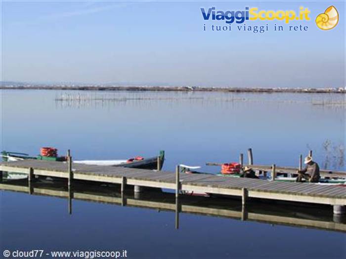 albufera