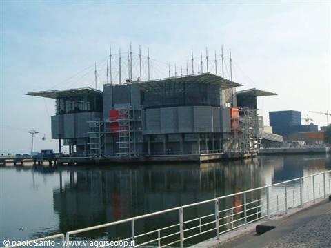l'acquario