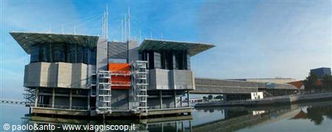 l'acquario