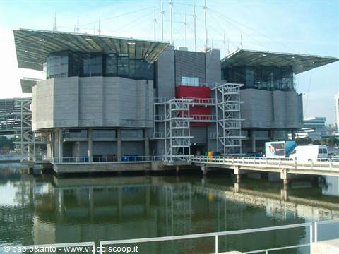 l'acquario