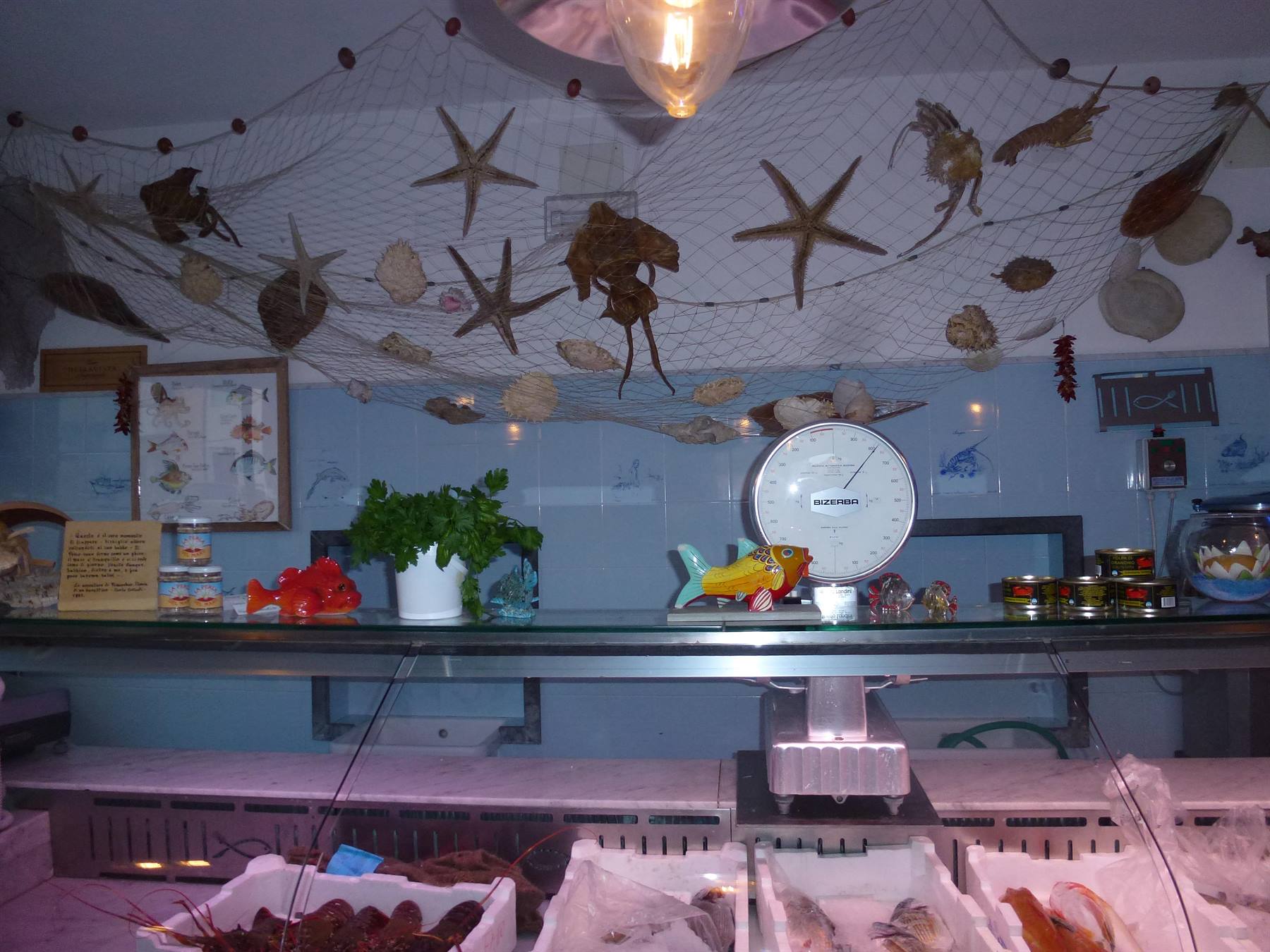 Banco della pescheria con bilancia, rete da pesca e stelle marine sul soffitto