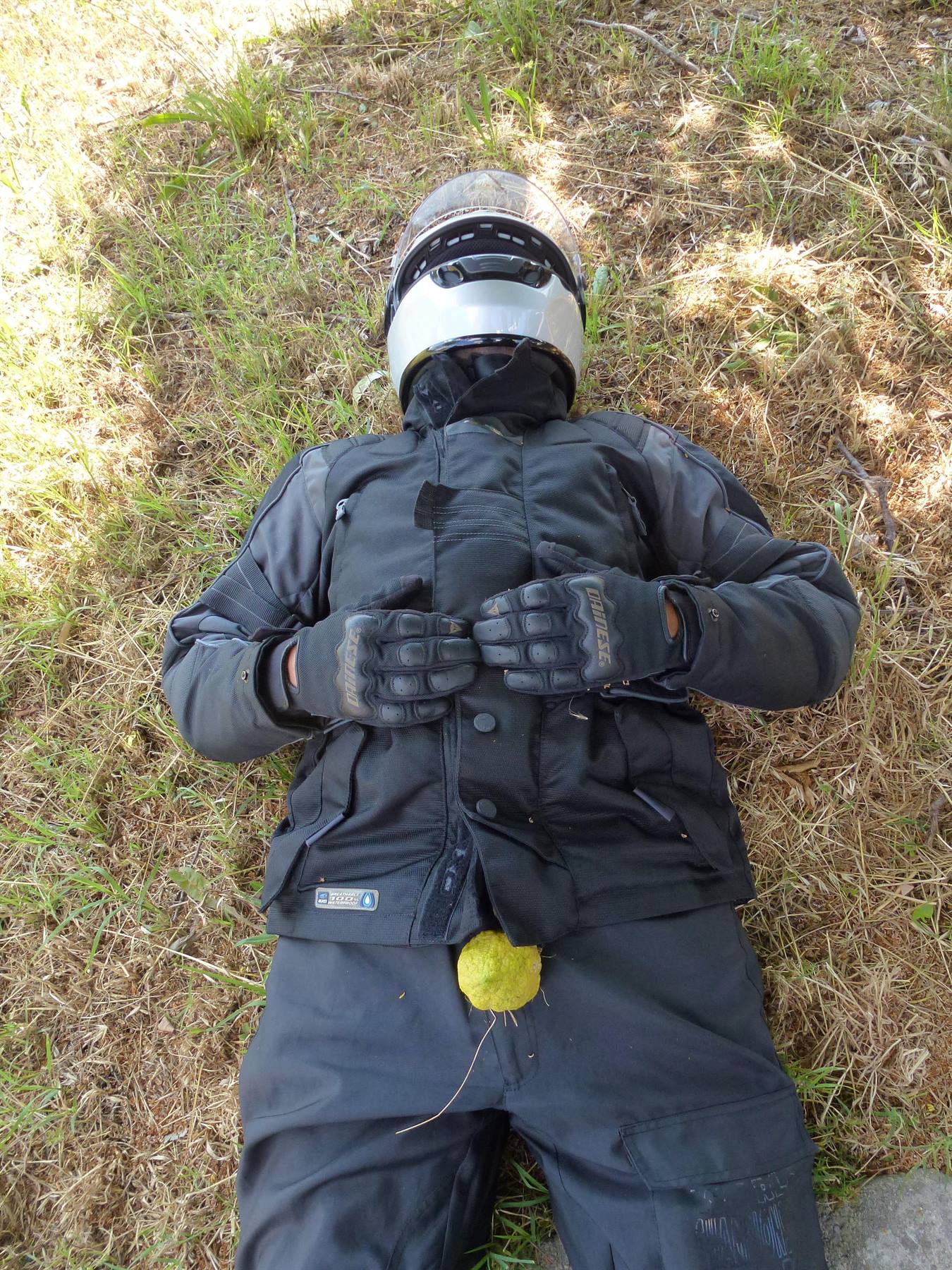 Motociclista sdraiato sull'erba con casco e giacca nera, un fiore giallo sul petto
