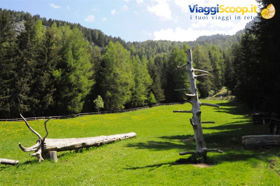 Foto di viaggio in ITALIA