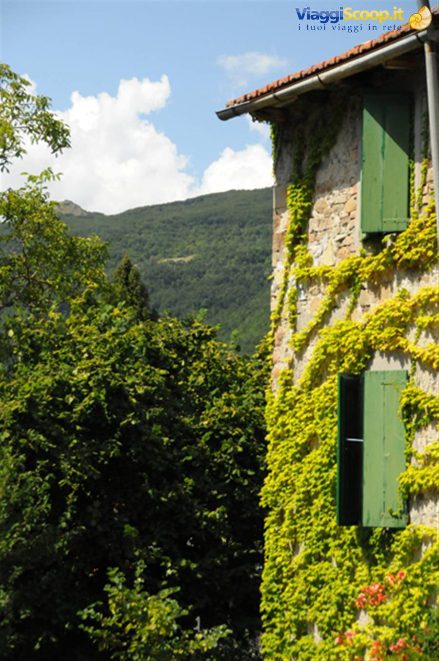 Foto di viaggio in ITALIA