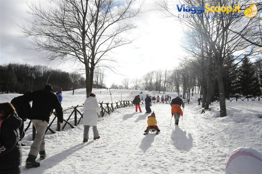 Una domenica sulla Neve