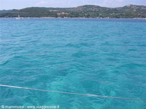 Mare di Sardegna