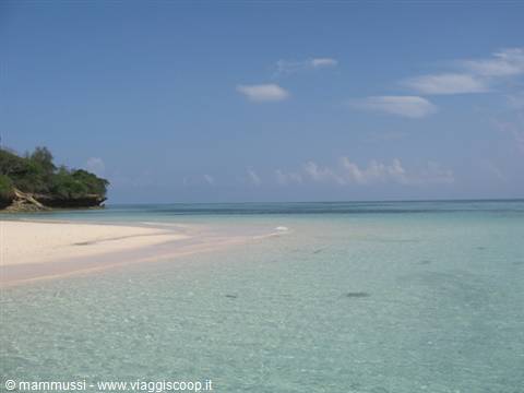 Zanzibar - Prison Island