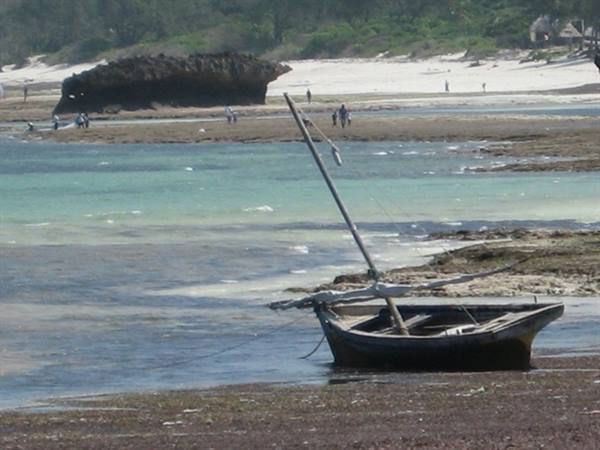 Watamu - Bassa Marea