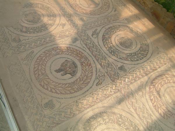I mosaici