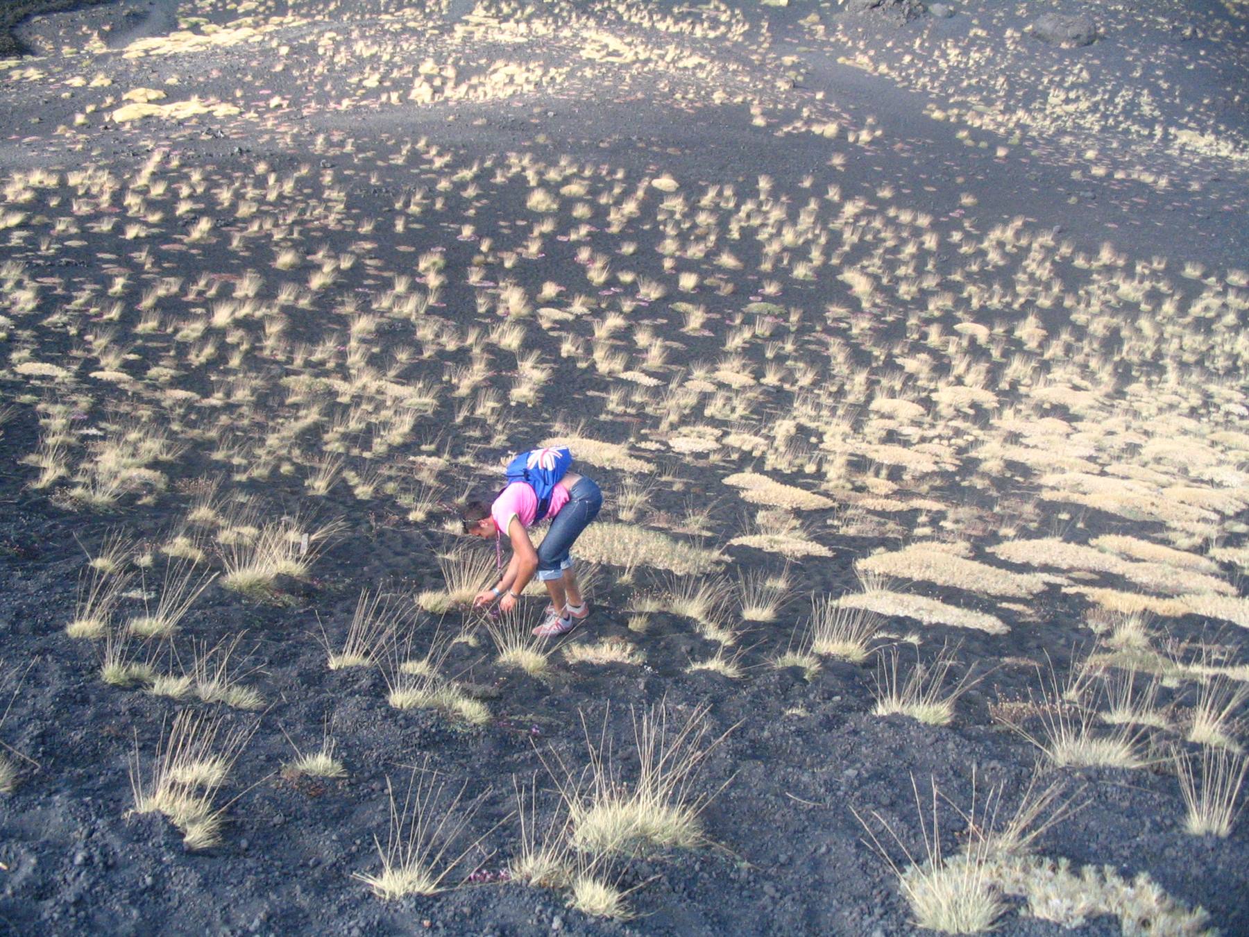 Gironzolando intorno all'Etna