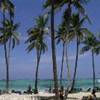 le palme tropicali REPUBBLICA DOMINICANA 